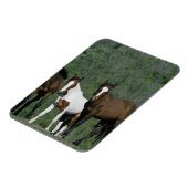Groep wilde Mustang Paarden Magneet (Linkerzijde)