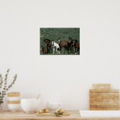 Groep wilde Mustang Paarden Poster (Keuken)