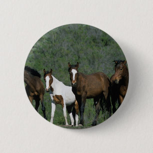 Groep wilde Mustang Paarden Ronde Button 5,7 Cm