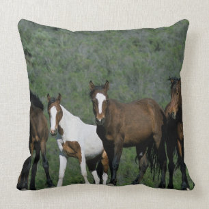 Groep wilde mustangpaarden kussen