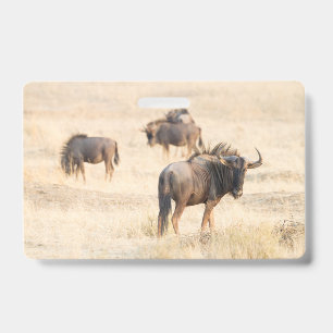 Groep wildebeesten badge