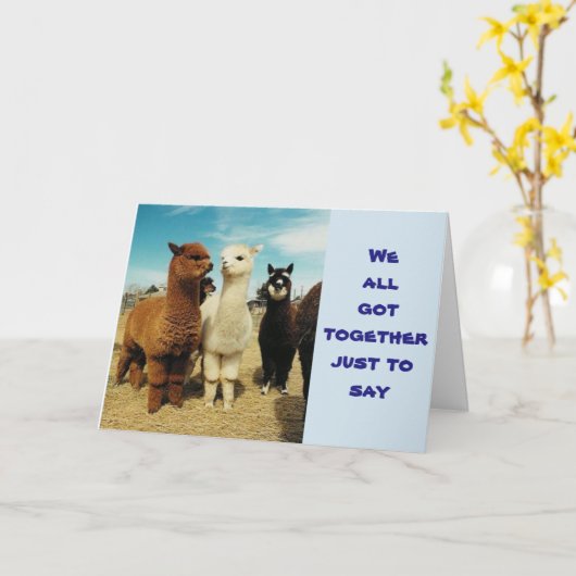 GROEP ZEGT **HOOP DAT JE VERJAARDAG FANTASTISCH IS KAART (Gele Bloem)