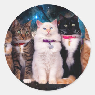 Groep zittende katten in de ruimte ronde sticker