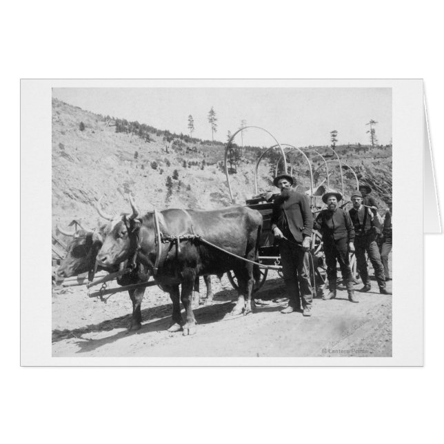 Groepering goudprospectors foto (Voorkant Horizontaal)