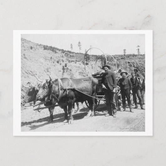 Groepering goudprospectors foto briefkaart (Voorkant)