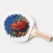 Groepervis op koraalgolfbal tafeltennisbatje (Zijkant)