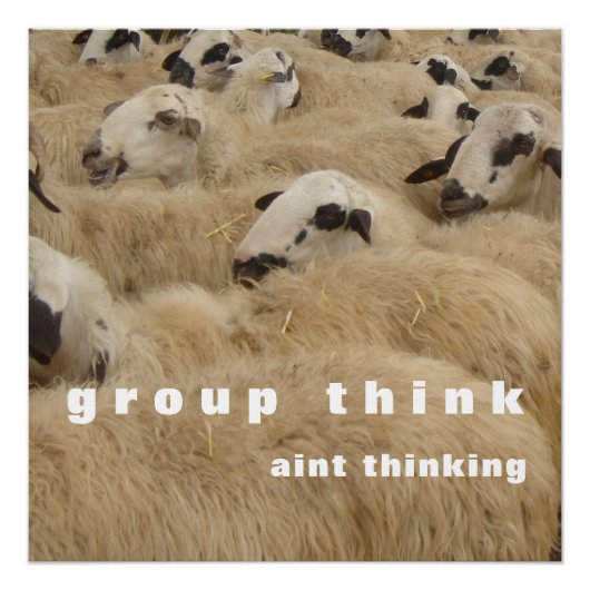 Groepsdenken Perfect Poster (Voorkant)