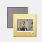 groepsknuffel magneet (Voorkant / Achterkant)