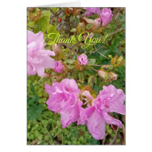 Groet met lavendelbloesems op azalea. Dank je wel