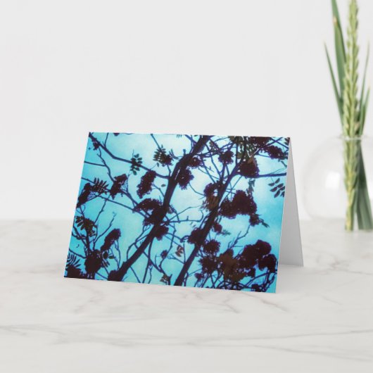 Groeten Kaart (Voorkant)