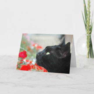 Groeten Kaart - Kijken