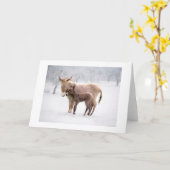 Groeten Kaart: Snowy Donkeys Kaart (Gele Bloem)