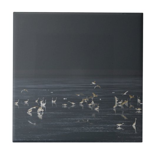 Groeten op de Midnight Blue Ocean Tegeltje (Voorkant)