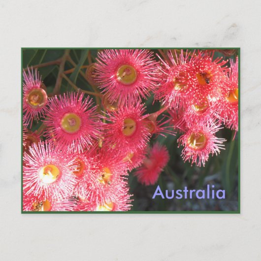 Groeten uit Australië Briefkaart (Voorkant)
