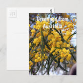 Groeten uit Australië:Gele wattenbloesems Briefkaart (Voorkant / Achterkant)