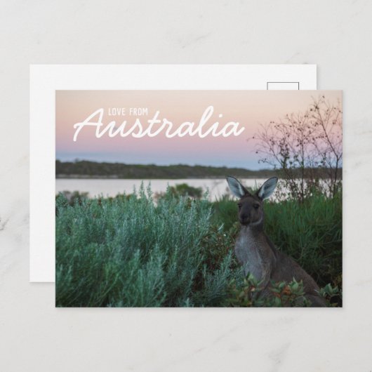 Groeten uit Australië Kangoeroe Zonsondergang Meer Briefkaart (Voorkant / Achterkant)