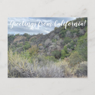Groeten uit Californië! Briefkaart