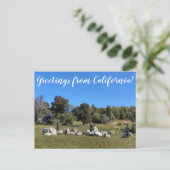 Groeten uit Californië! Briefkaart (Staand voorkant)