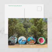 Groeten uit Californië! Briefkaart (Voorkant / Achterkant)