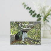 Groeten uit Cunnamulla Briefkaart (Staand voorkant)