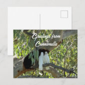 Groeten uit Cunnamulla Briefkaart (Voorkant / Achterkant)