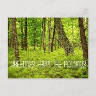 Groeten uit de Poconos-Bossen Briefkaart