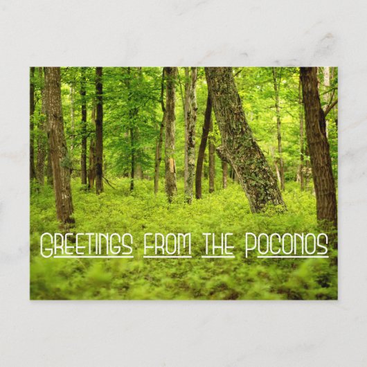 Groeten uit de Poconos-Bossen Briefkaart (Voorkant)