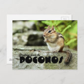 Groeten uit de Poconos Mischievous Chipmunk Briefkaart (Voorkant / Achterkant)