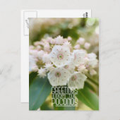 Groeten uit de Poconos Mountain Laurel Briefkaart (Voorkant / Achterkant)