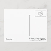 Groeten uit de Poconos Mountain Laurel Briefkaart (Achterkant)