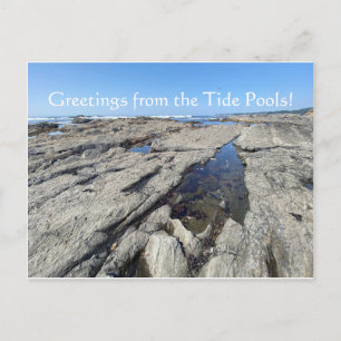 Groeten uit de Tide Pools! Briefkaart