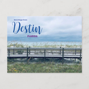 Groeten uit Destin Florida Ansichtkaart Schilderac Briefkaart