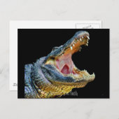 Groeten uit Florida Briefkaart (Voorkant / Achterkant)