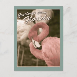 Groeten uit Florida Briefkaart