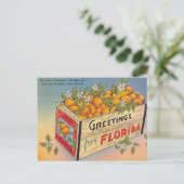 Groeten uit Florida! Briefkaart (Staand voorkant)