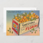Groeten uit Florida! Briefkaart (Voorkant / Achterkant)