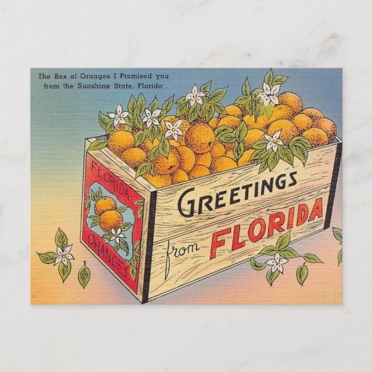 Groeten uit Florida! Briefkaart (Voorkant)