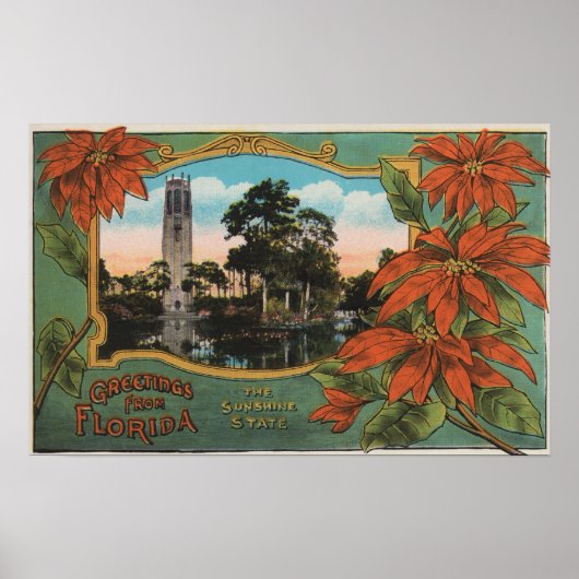 Groeten uit Florida, de Sunshine State Poster (Voorkant)