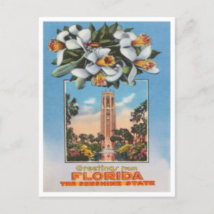 Groeten uit Florida, de Sunshine State Travel Briefkaart