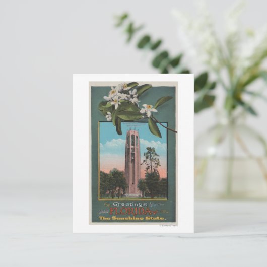 Groeten uit Florida en Afbeelding van de Zing Briefkaart (Staand voorkant)