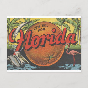  groeten uit Florida met sinaasappel Briefkaart