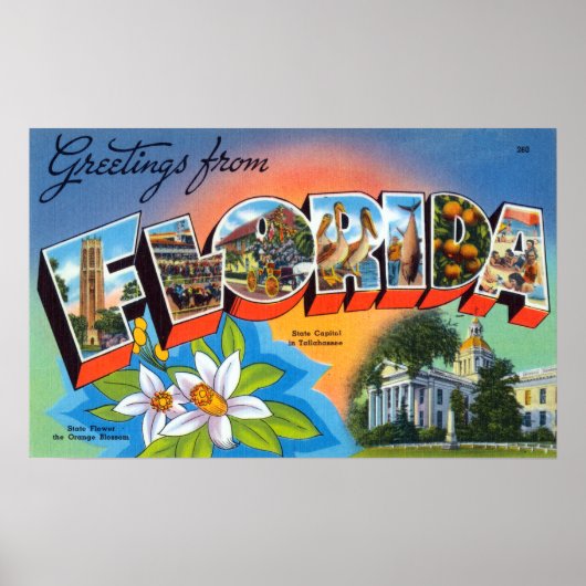  groeten uit Florida Poster (Voorkant)