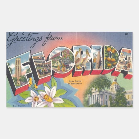 Groeten uit FLORIDA Rechthoekige Sticker (Voorkant)