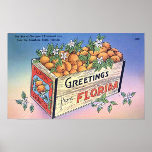 groeten uit Florida Sinaasappels Reis Poster
