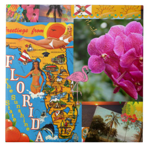Groeten uit Florida Tegeltje