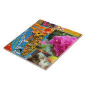 Groeten uit Florida Tegeltje (Zijkant)