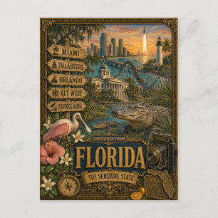 Groeten uit Florida   Vintage Retro Kunst Briefkaart