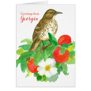 Groeten uit Georgia Brown Thrasher Blank