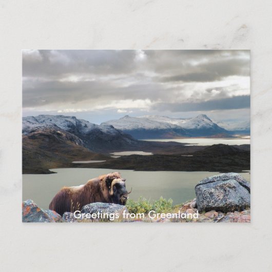 Groeten uit Groenland 13 Briefkaart (Voorkant)