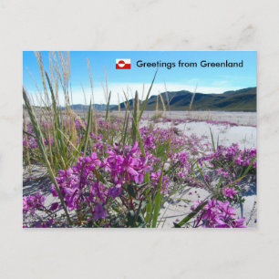 Groeten uit Groenland 5 Briefkaart
